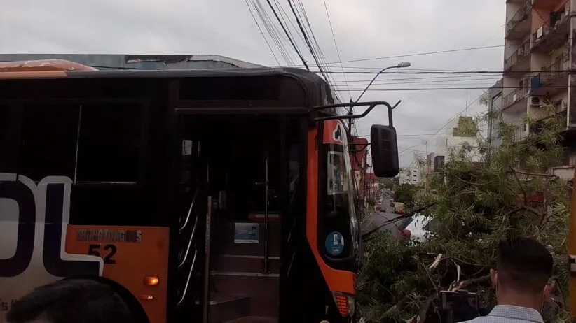 Bus pierde frenos y choca con un árbol en pleno microcentro – Agenda ...